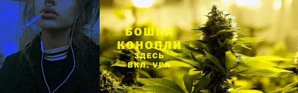 дживик Карпинск
