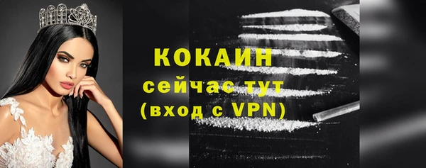 гашик Каменногорск