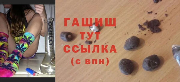 мдпв Инсар