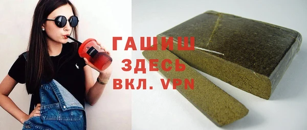 гидра Инта