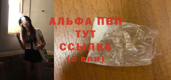 гашик Каменногорск