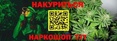 альфа пвп Гатчина